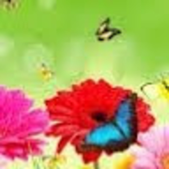 Meet your Posher, Jana - Picture 1 of 1